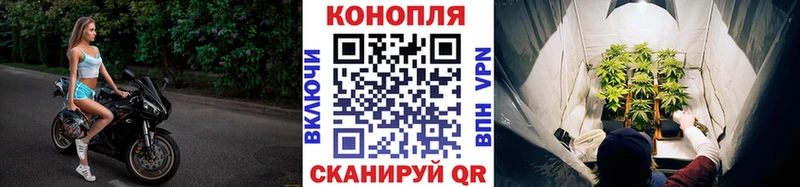 Бошки Шишки Bruce Banner  Магас 